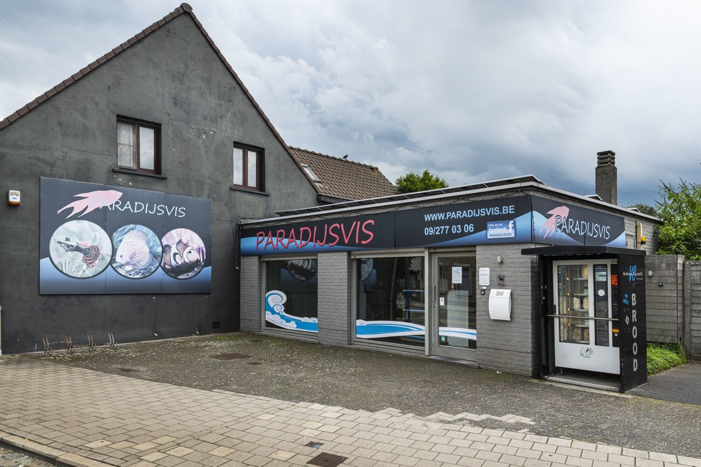 Etalage van Paradijsvis, een winkel van aquarium en siervissen in Oostakker