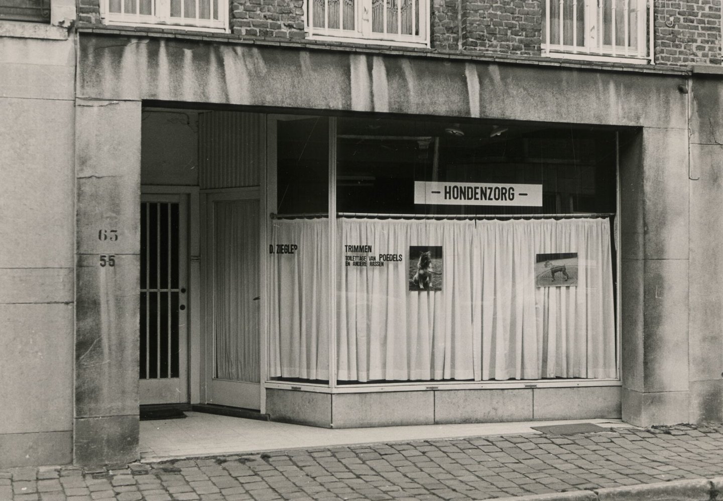 Etalage van een hondenkapsalon in Gent