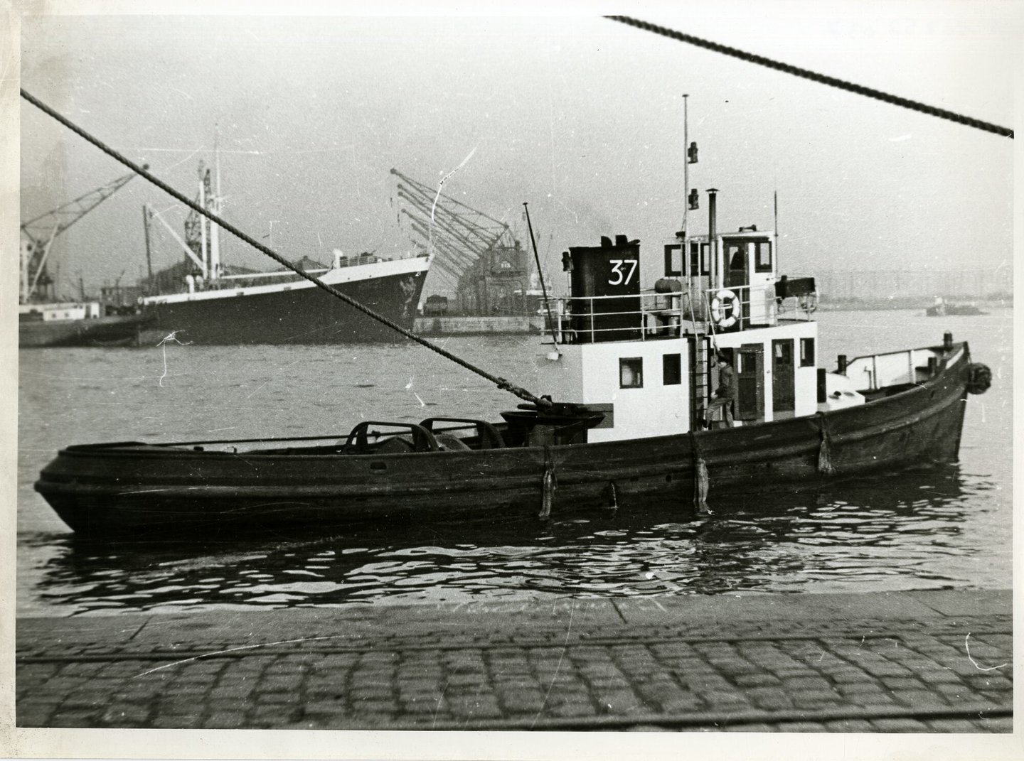 Sleepboot 37 tijdens vaart in de haven van Antwerpen