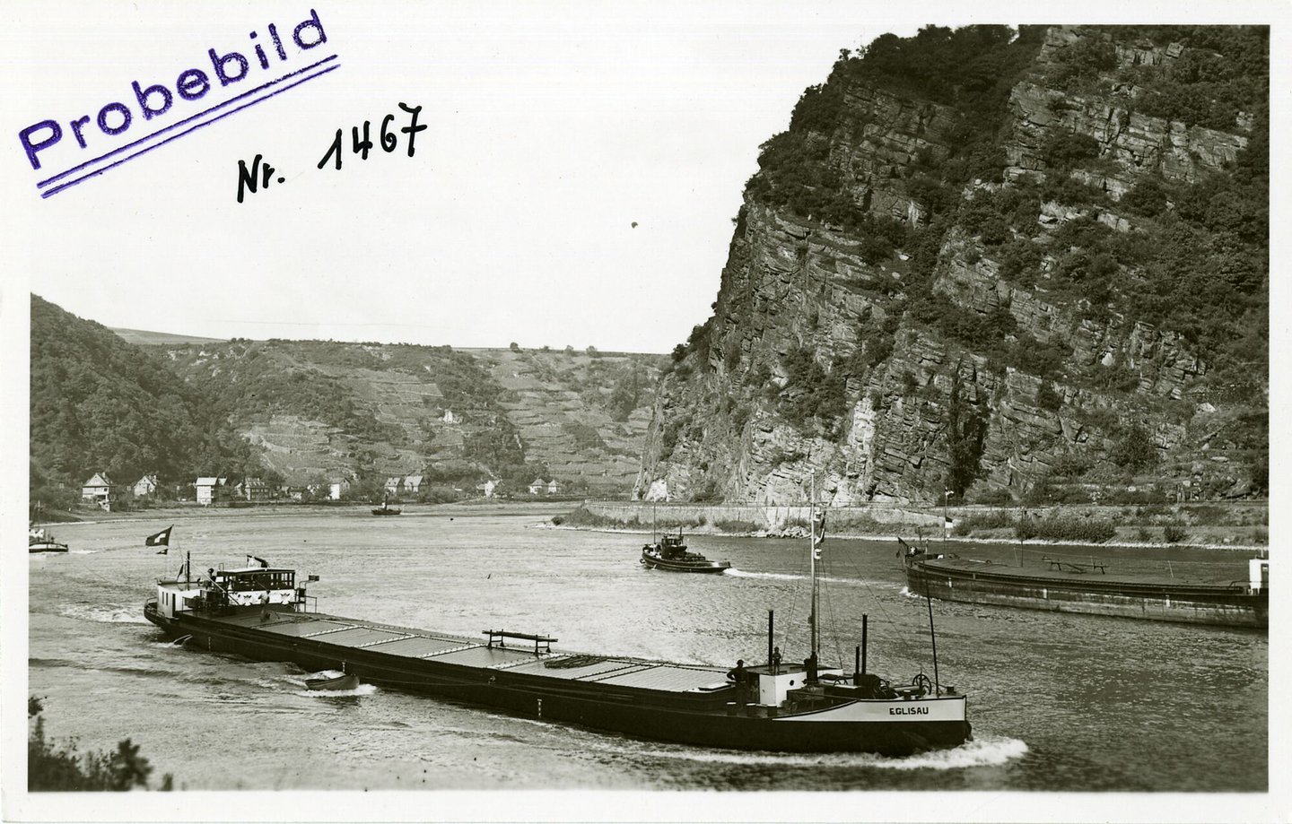 Binnenvaartschip Eglisau tijdens de vaart op de Rijn ter hoogte van de Loreley