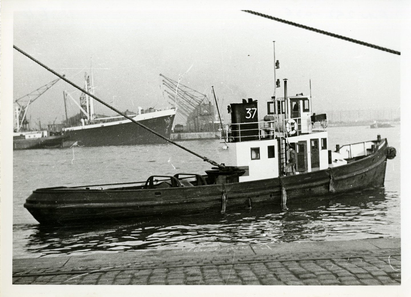 Sleepboot 37 tijdens vaart in de haven van Antwerpen