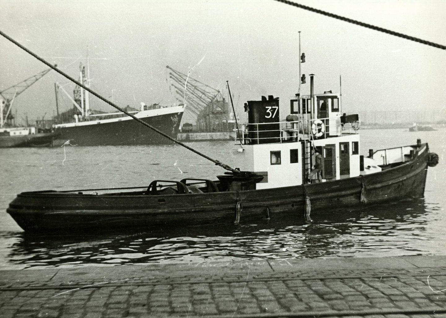 Sleepboot 37 tijdens vaart in de haven van Antwerpen